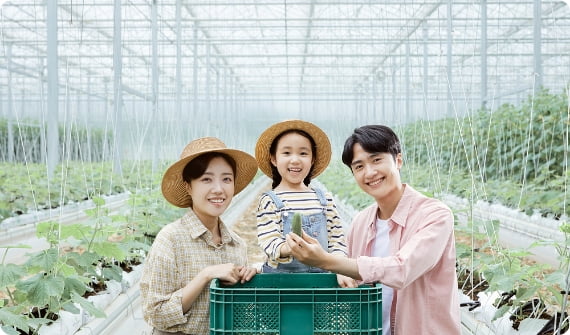 보령9경 플러스  - 아래 보령9경 플러스를 클릭하세요