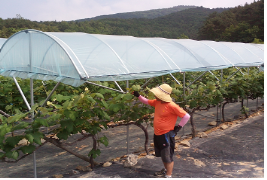 2014 귀농귀촌 우수사례