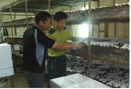 2014 귀농귀촌 우수사례